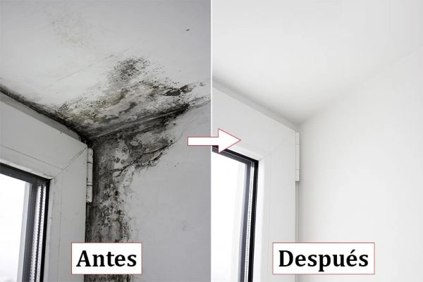Antes y después de eliminar una humedad en el techo de un piso de Pamplona