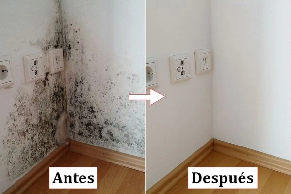Antes y después de tratar una humedad junto a un enchufe en Pamplona