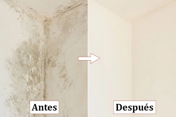 Antes y después de reparar una humedad en una esquina de pared en Pamplona
