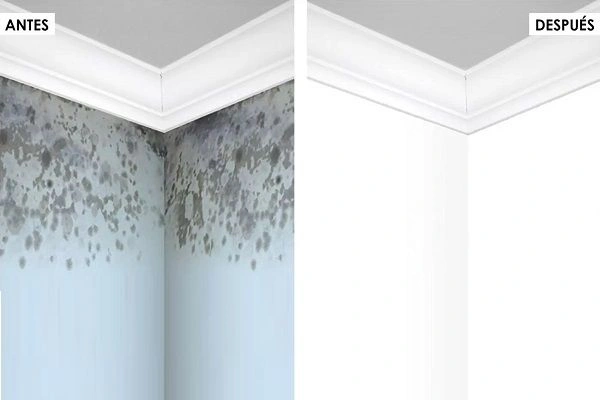 Antes y después de eliminar moho en el techo de una vivienda de Pamplona