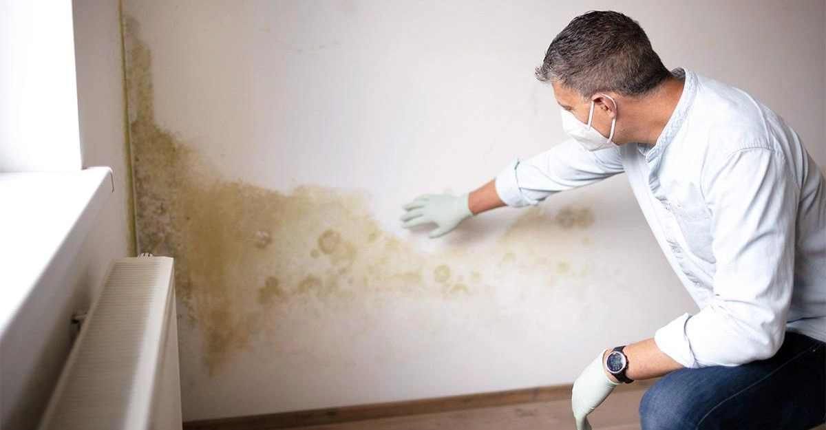 Técnico revisando una humedad en la pared de una vivienda de Pamplona