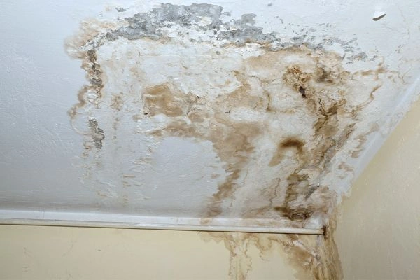 Filtración de agua y humedad en el techo de una vivienda de Pamplona