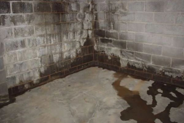 Humedad y filtración de agua en un sótano de Pamplona